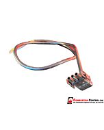 EF Lead & Plug for AEG motor (Minors)